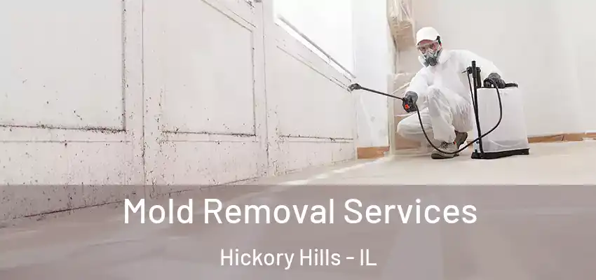  Mold Removal Services Hickory Hills - IL