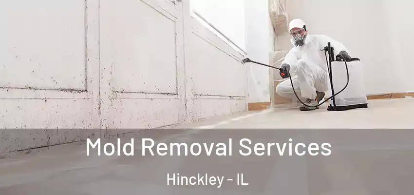  Mold Removal Services Hinckley - IL