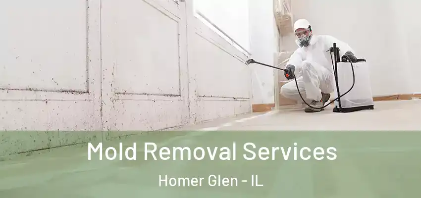 Mold Removal Services Homer Glen - IL