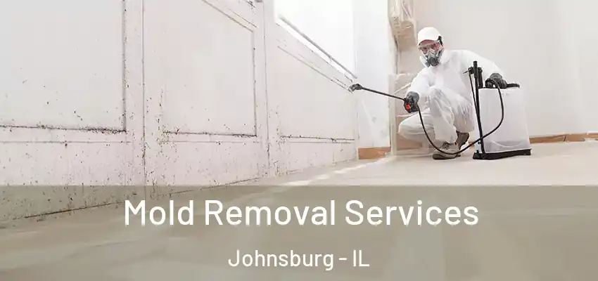 Mold Removal Services Johnsburg - IL