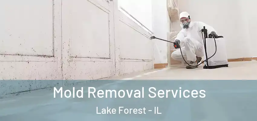 Mold Removal Services Lake Forest - IL