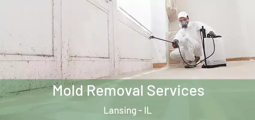  Mold Removal Services Lansing - IL