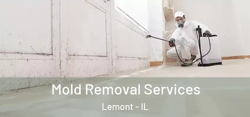 Mold Removal Services Lemont - IL