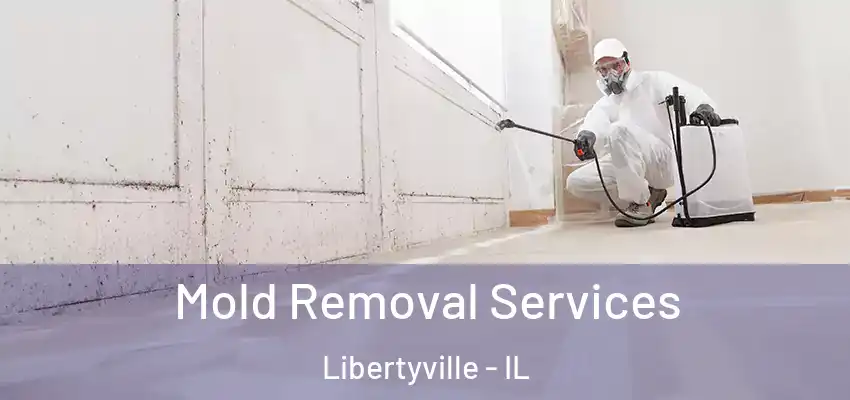 Mold Removal Services Libertyville - IL