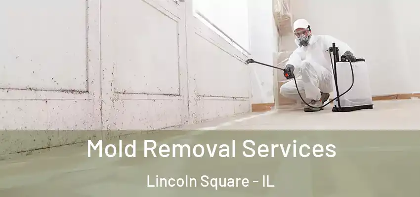 Mold Removal Services Lincoln Square - IL