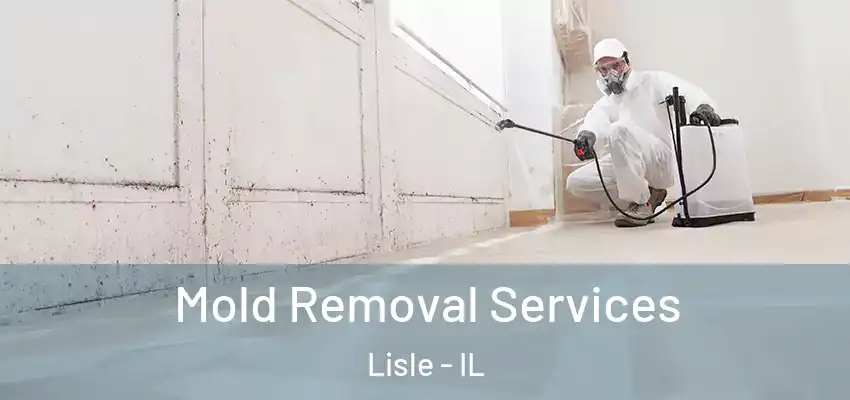 Mold Removal Services Lisle - IL