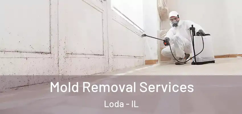 Mold Removal Services Loda - IL
