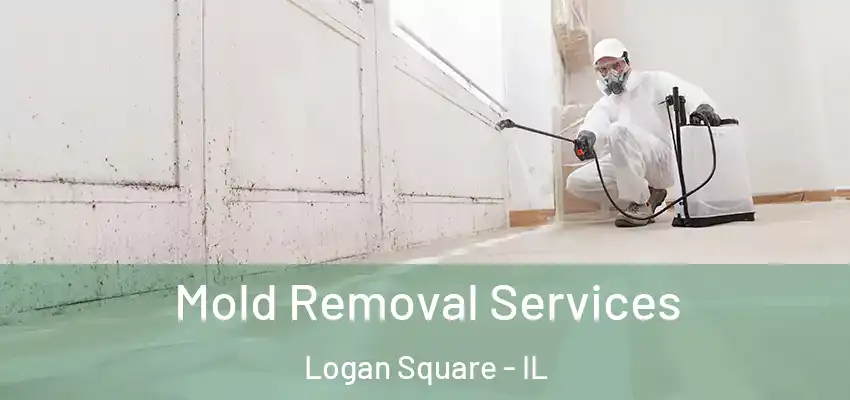  Mold Removal Services Logan Square - IL