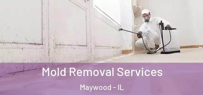 Mold Removal Services Maywood - IL