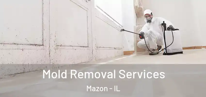  Mold Removal Services Mazon - IL