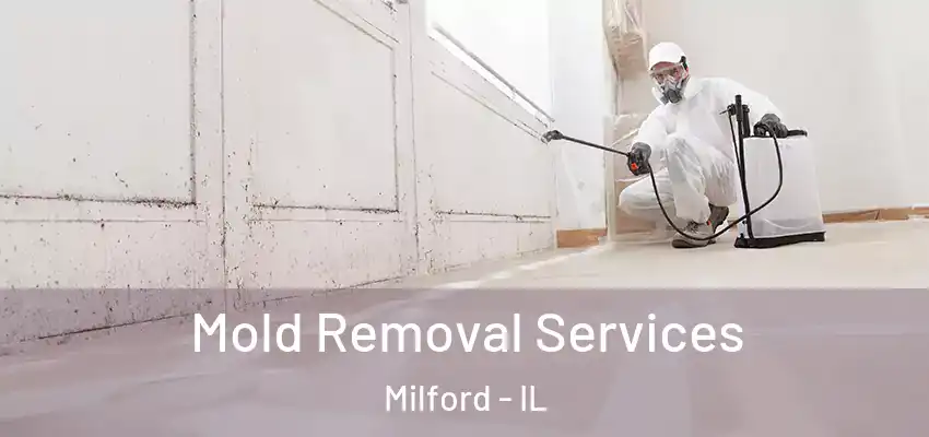 Mold Removal Services Milford - IL