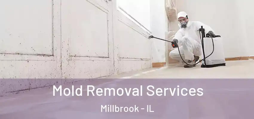  Mold Removal Services Millbrook - IL