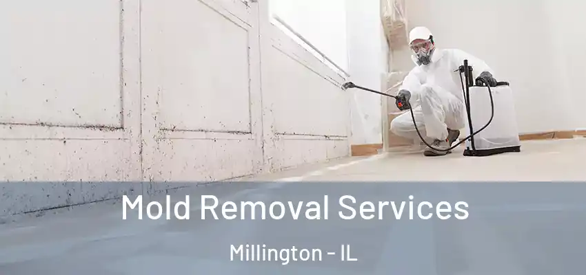 Mold Removal Services Millington - IL