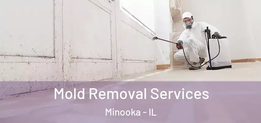  Mold Removal Services Minooka - IL