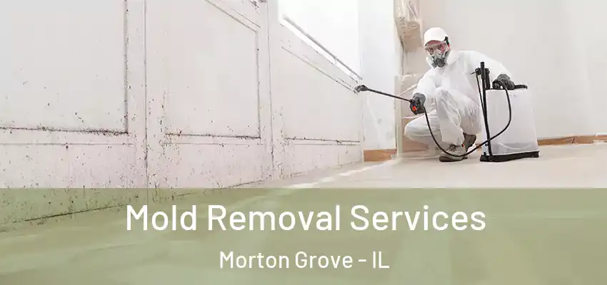 Mold Removal Services Morton Grove - IL