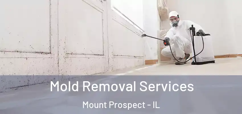 Mold Removal Services Mount Prospect - IL