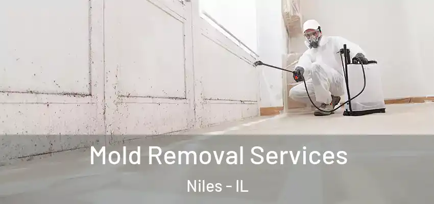 Mold Removal Services Niles - IL