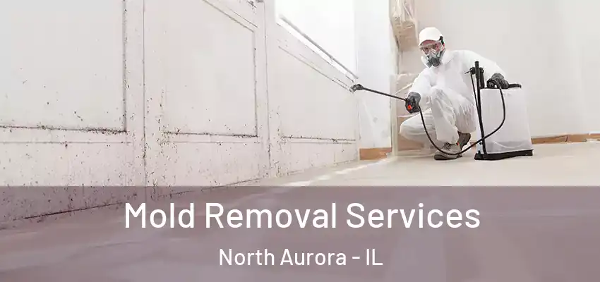 Mold Removal Services North Aurora - IL