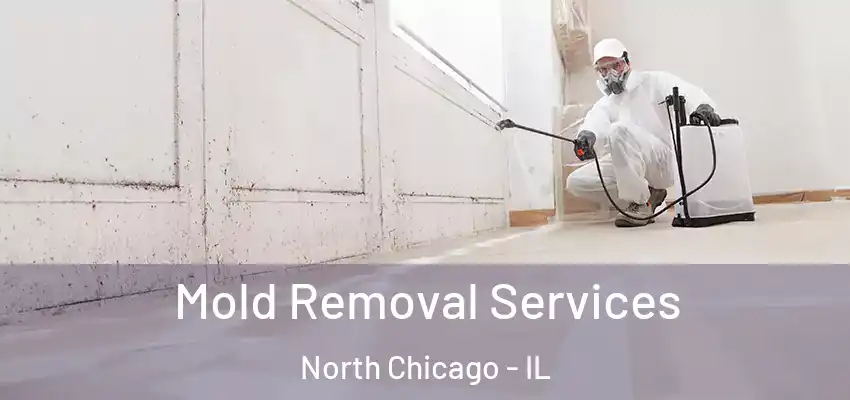 Mold Removal Services North Chicago - IL