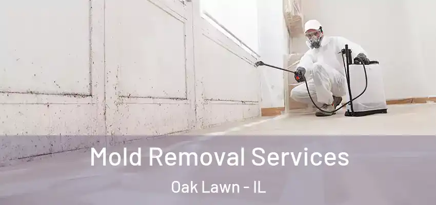  Mold Removal Services Oak Lawn - IL