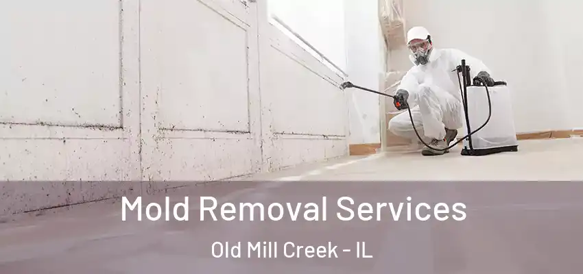 Mold Removal Services Old Mill Creek - IL