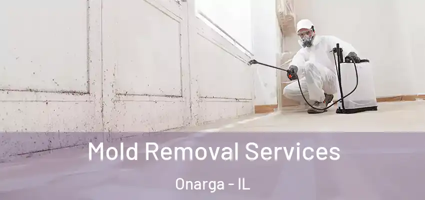 Mold Removal Services Onarga - IL