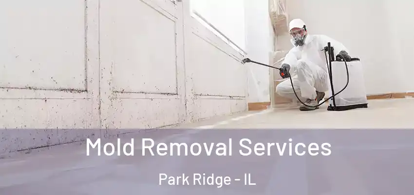 Mold Removal Services Park Ridge - IL