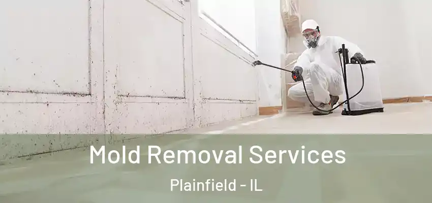  Mold Removal Services Plainfield - IL