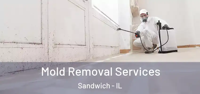  Mold Removal Services Sandwich - IL