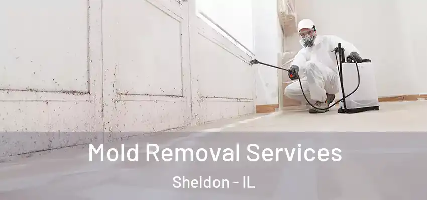  Mold Removal Services Sheldon - IL