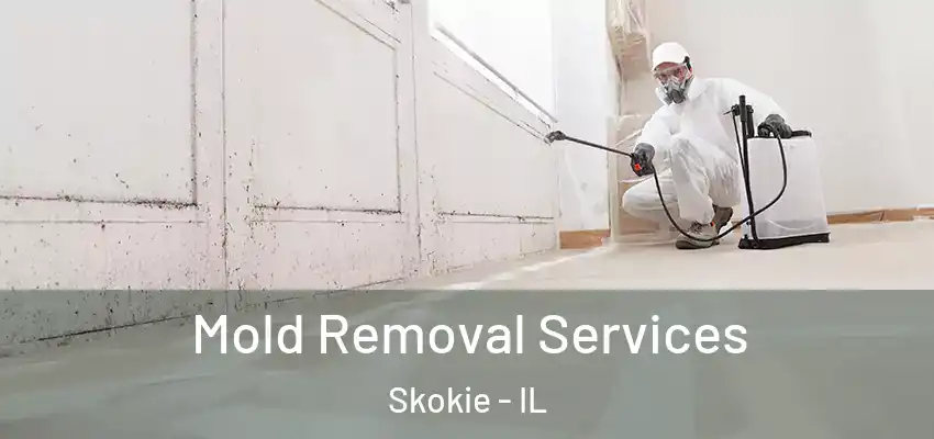 Mold Removal Services Skokie - IL