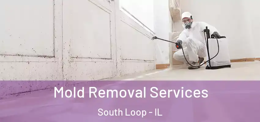  Mold Removal Services South Loop - IL