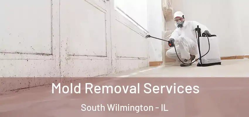  Mold Removal Services South Wilmington - IL