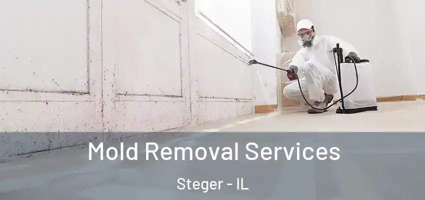  Mold Removal Services Steger - IL