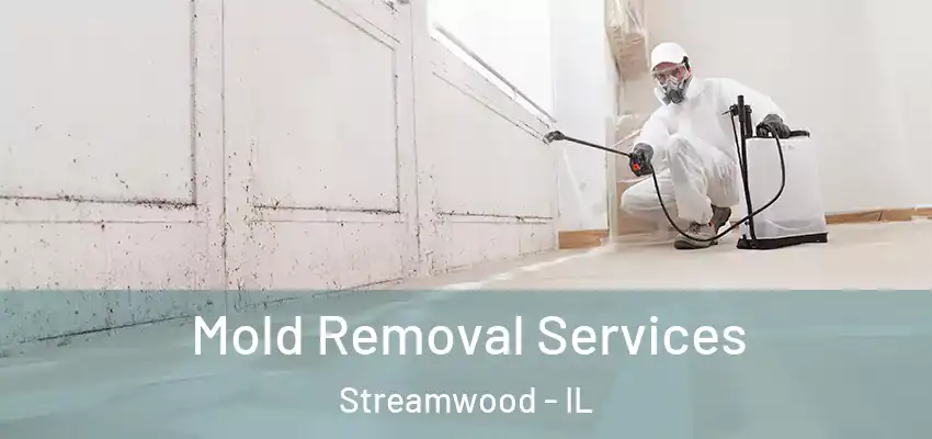 Mold Removal Services Streamwood - IL