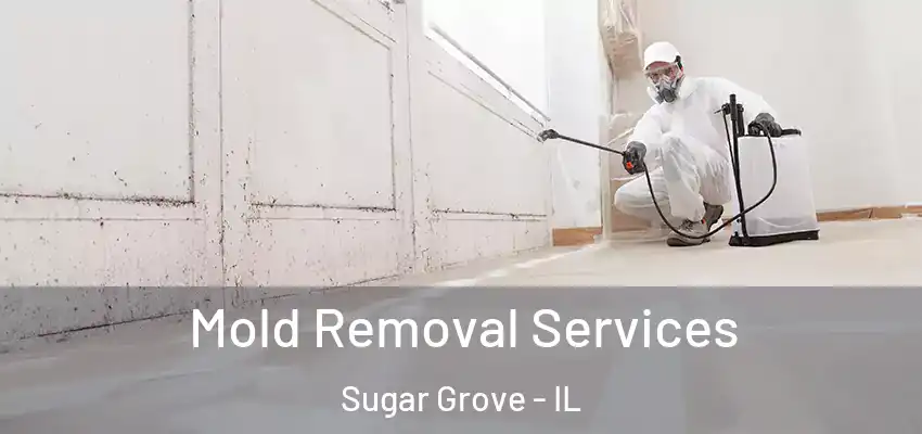Mold Removal Services Sugar Grove - IL