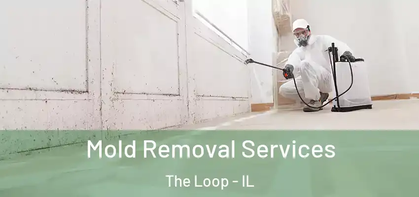  Mold Removal Services The Loop - IL