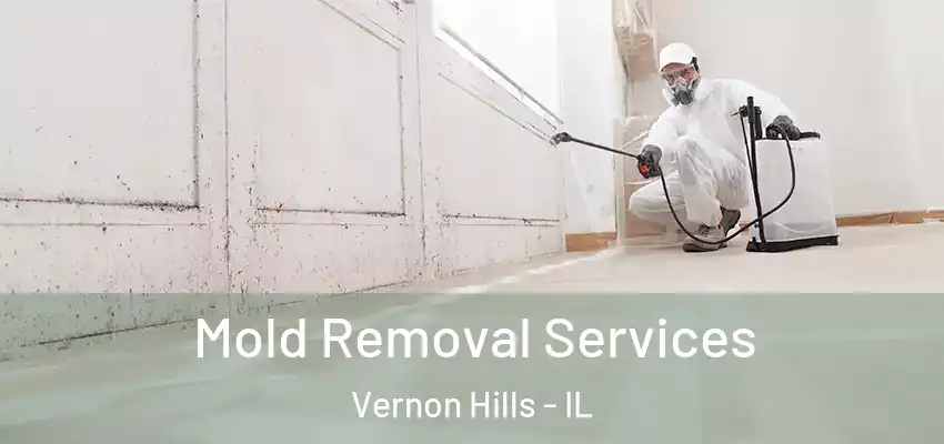  Mold Removal Services Vernon Hills - IL