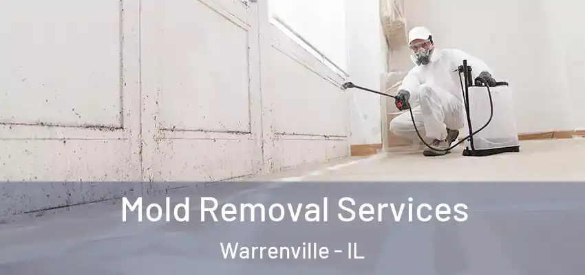  Mold Removal Services Warrenville - IL