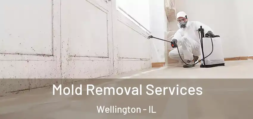 Mold Removal Services Wellington - IL