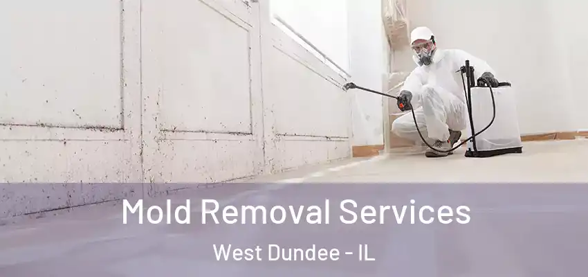  Mold Removal Services West Dundee - IL