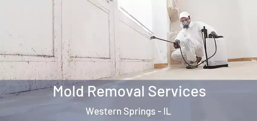 Mold Removal Services Western Springs - IL
