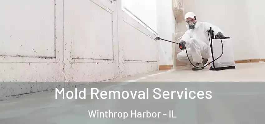 Mold Removal Services Winthrop Harbor - IL