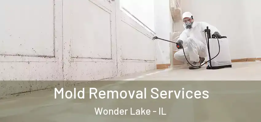  Mold Removal Services Wonder Lake - IL
