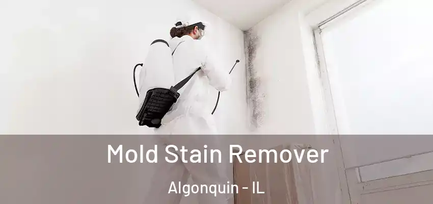  Mold Stain Remover Algonquin - IL