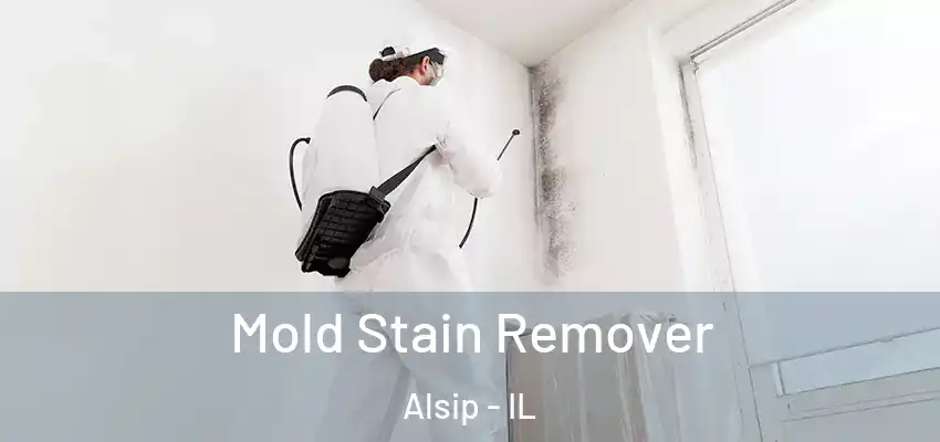  Mold Stain Remover Alsip - IL