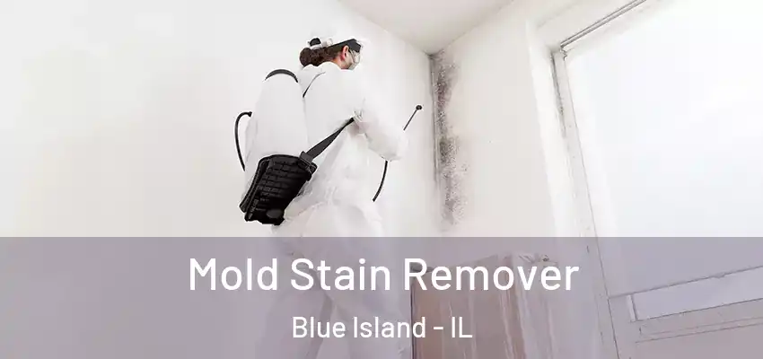  Mold Stain Remover Blue Island - IL