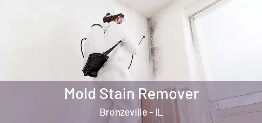  Mold Stain Remover Bronzeville - IL