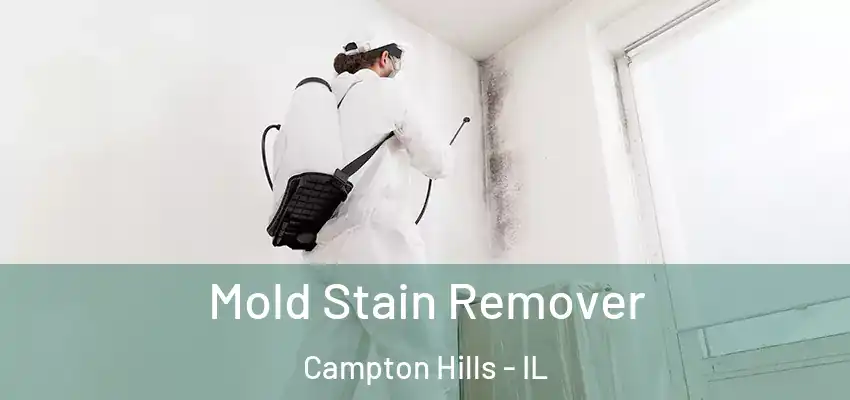  Mold Stain Remover Campton Hills - IL