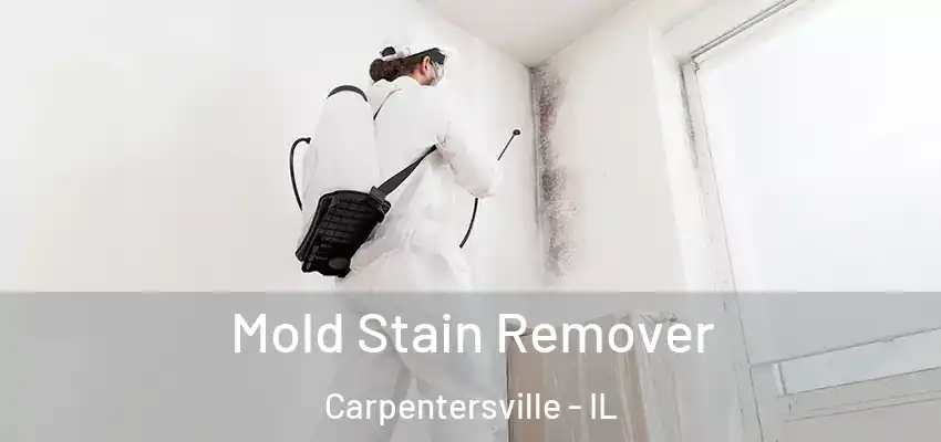  Mold Stain Remover Carpentersville - IL